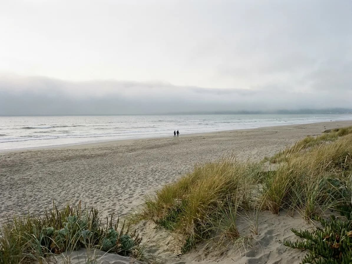 A wide empty beach with grey surf and a low bank of fog offshore