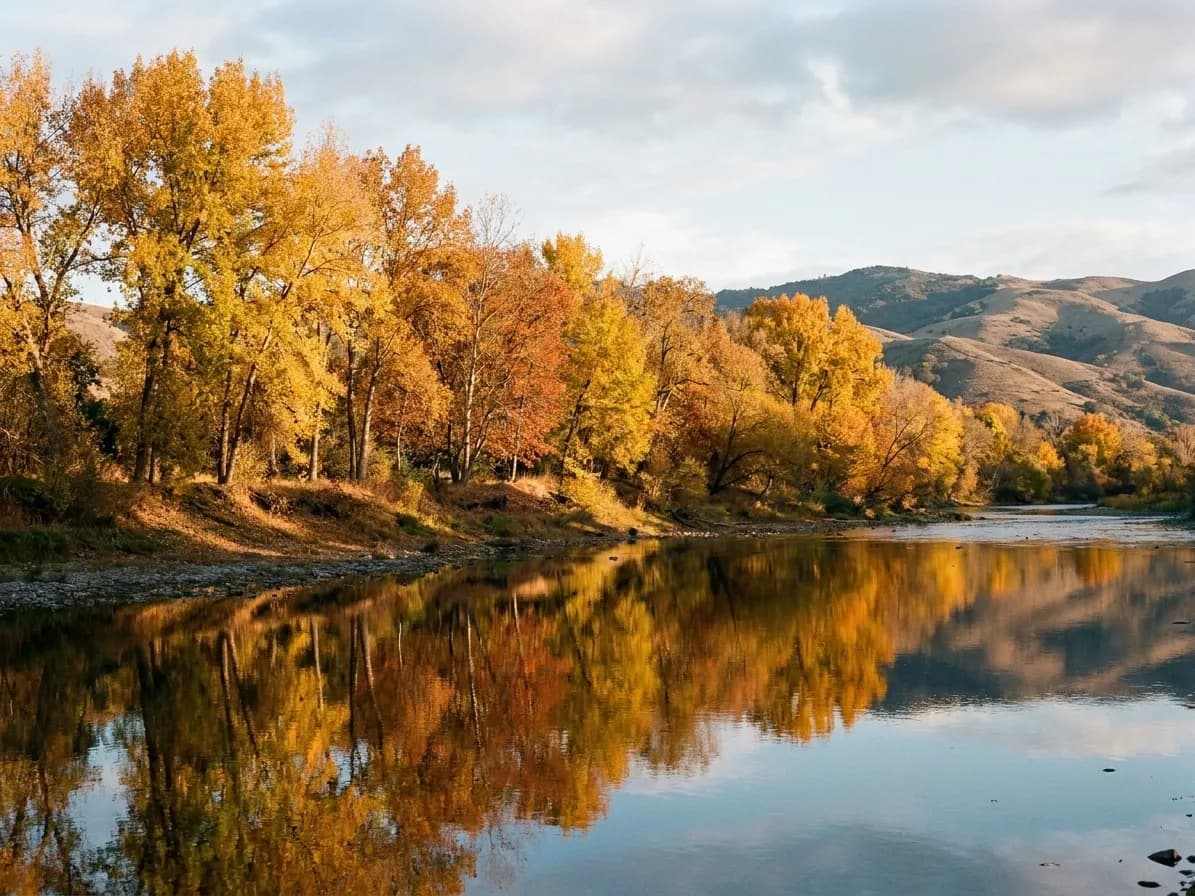 Yellow and orange trees along a river in low autumn light
