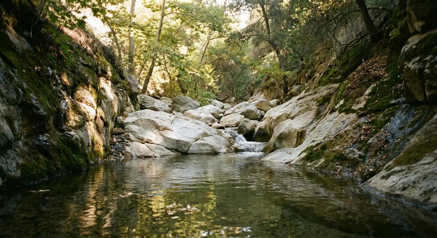 A narrow canyon stream running over boulders in dappled shade