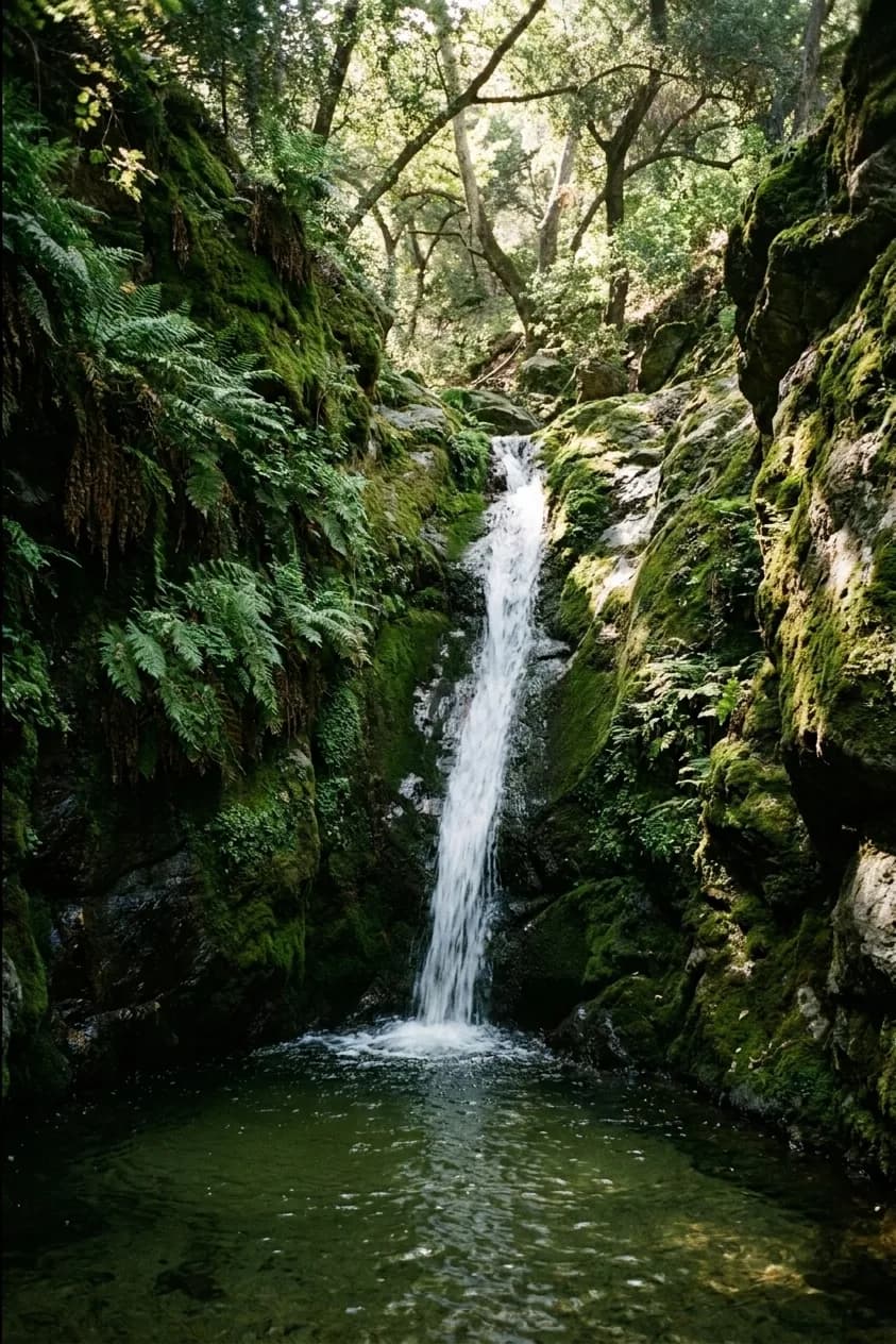 A narrow waterfall dropping into a pool in a shaded rocky canyon