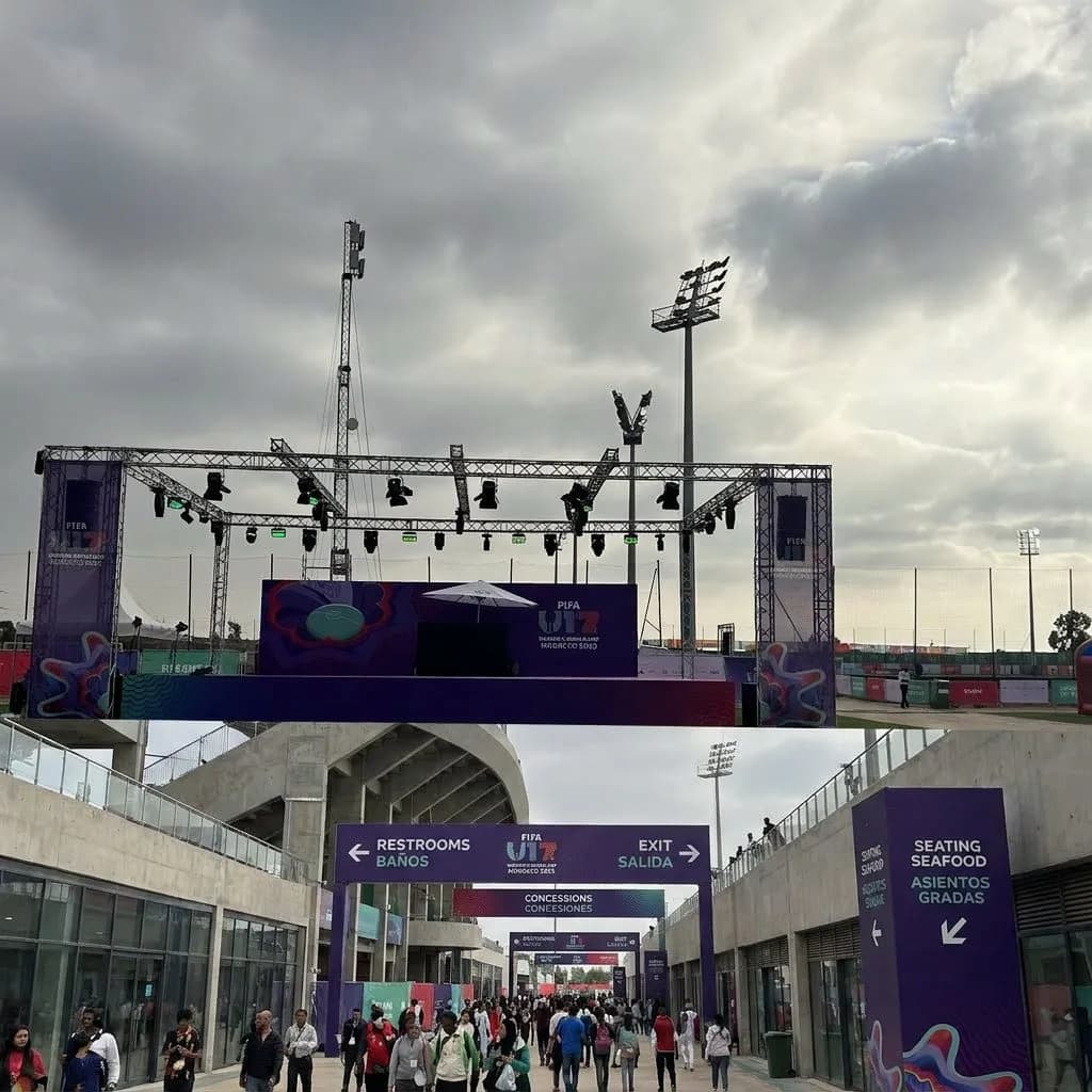 World Cup 2026 match analysis and fan experience