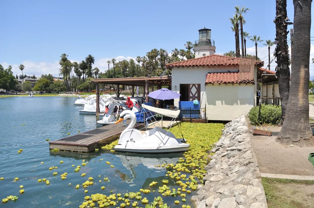 Pedal an Echo Park Swan Past the Fountain's Mist