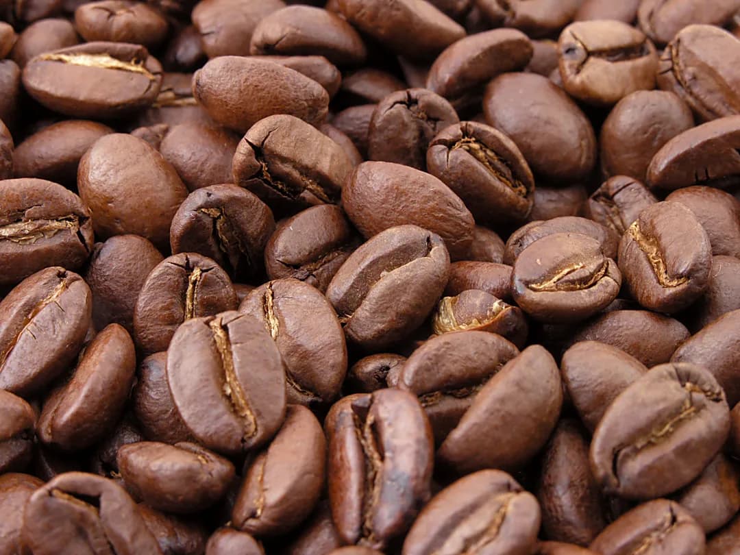 Inside O Coffee's Glendale Showroom as Green Beans Become Coffee