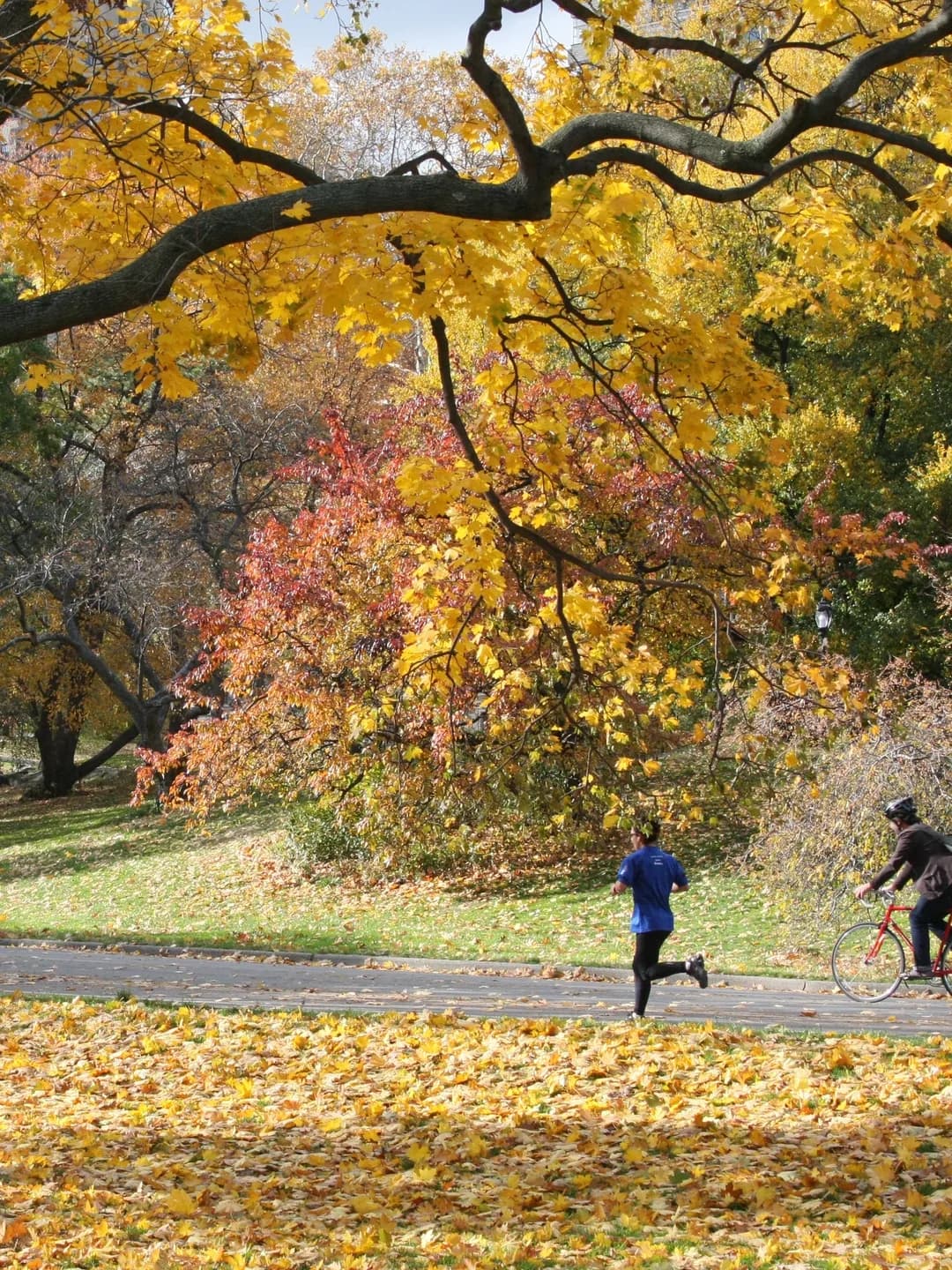 Peloton Coaches Lead a Central Park Shakeout Run. RSVP Is Waitlist Only