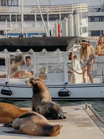 Sip wine on a small-boat cruise in Marina del Rey