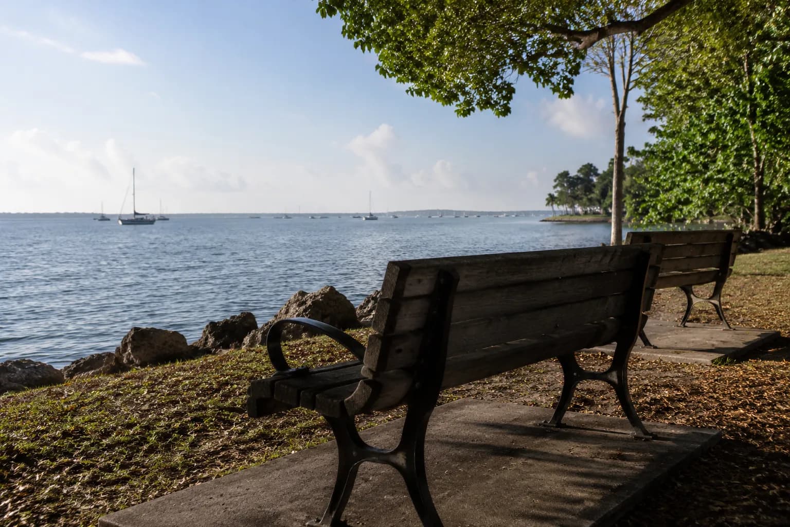 Benches overlooking Biscayne Bay at Peacock Park in Coconut Grove on a summer morning