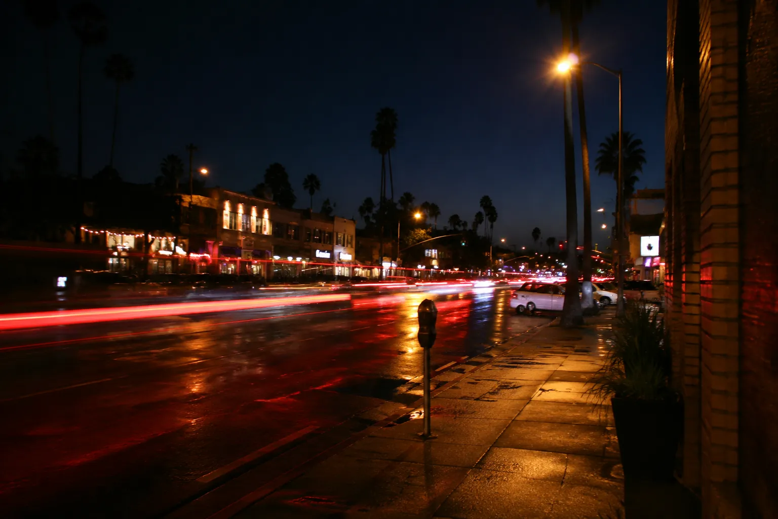 Sunset Boulevard in Silver Lake at night with streaking taillights, neon storefront signs, and palm tree silhouettes against a dark blue sky
