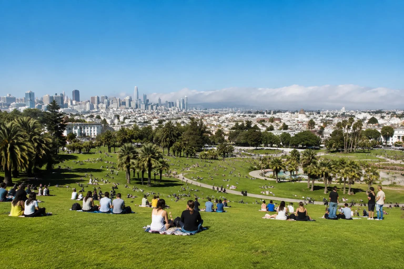 Wide view of Dolores Park in San Francisco on a sunny afternoon, showing people on the lawn with palm trees and the city skyline in the distance