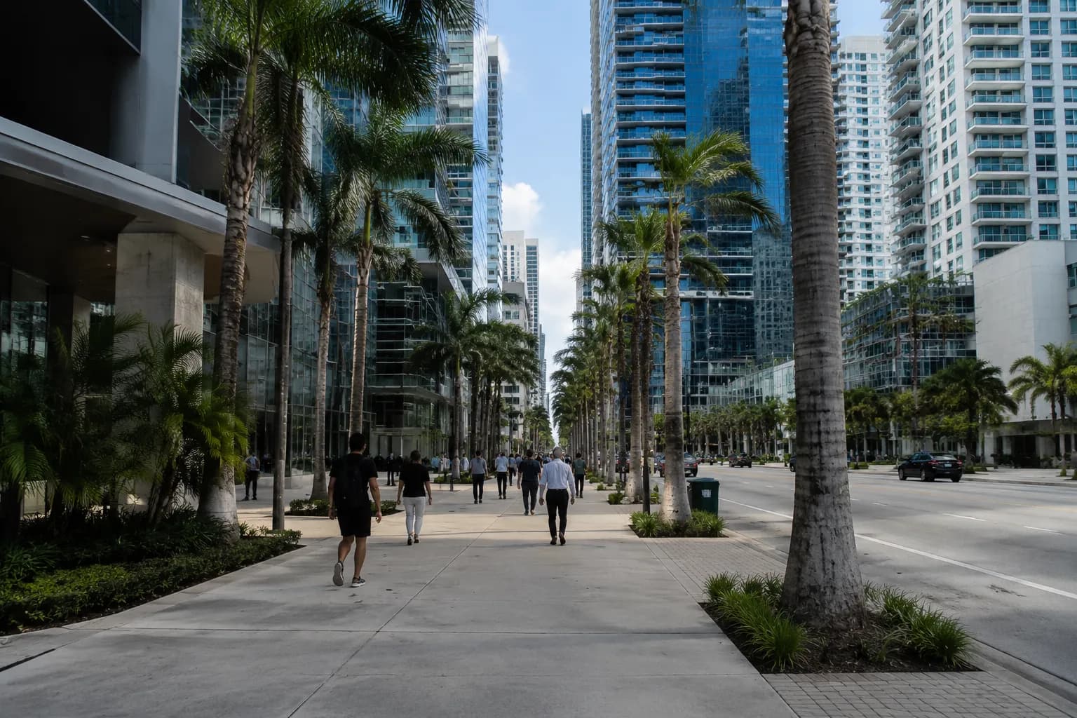 Brickell Avenue in Miami with high-rise buildings and palm-lined sidewalks in afternoon light