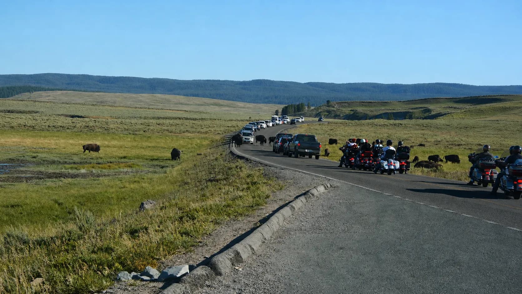 Bison move near a Yellowstone park road while visitors watch from a safe distance at a pullout.