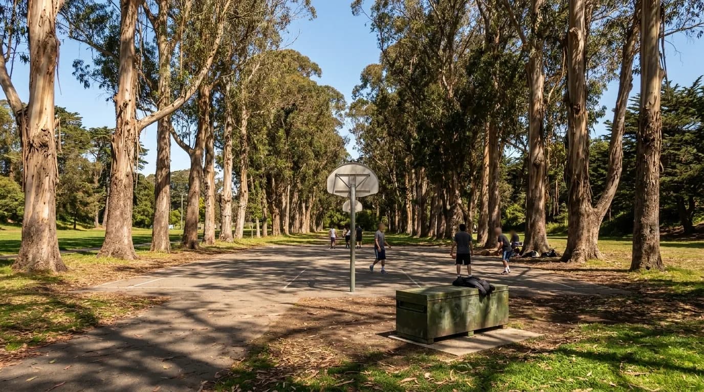 Full-length outdoor basketball court at the Panhandle with eucalyptus trees lining the narrow park strip