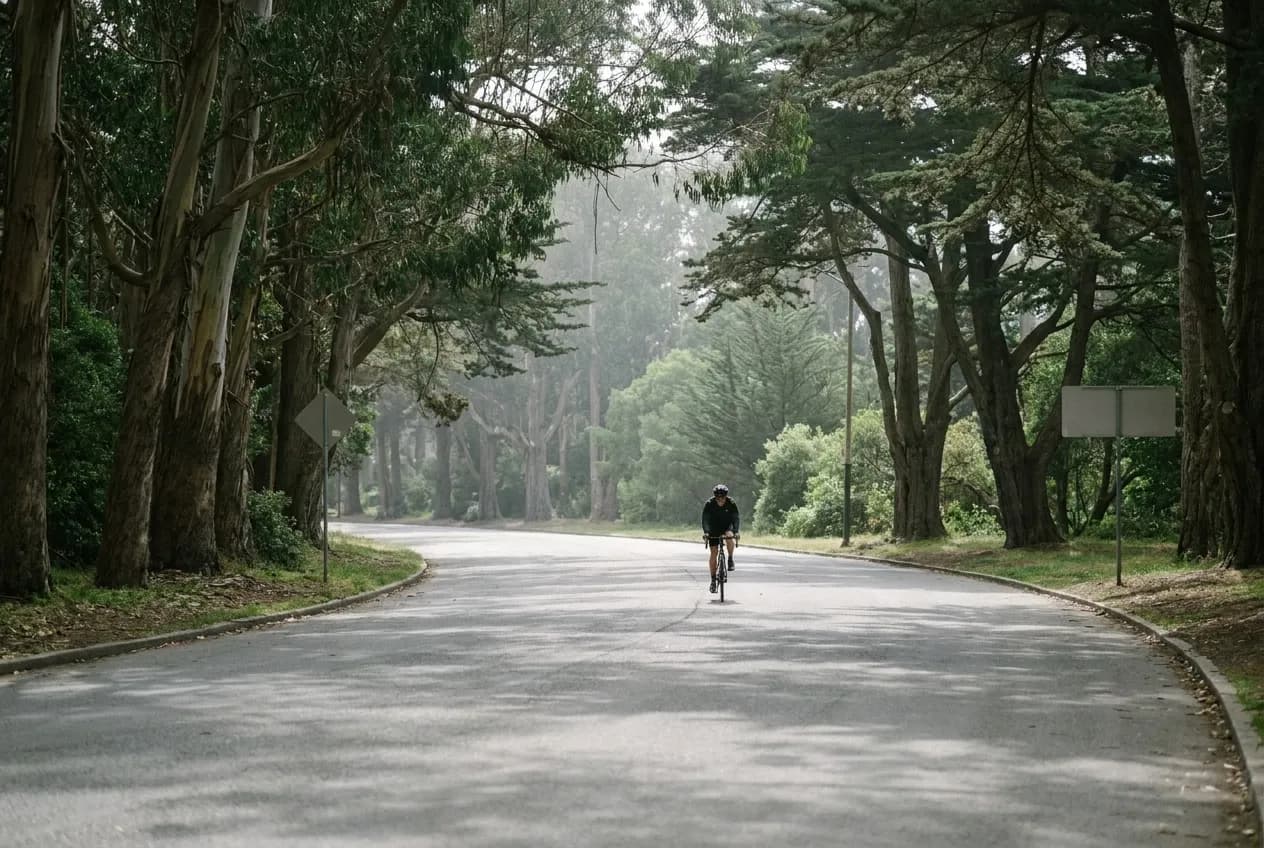 A cyclist riding the tree-lined JFK Promenade through Golden Gate Park on an overcast San Francisco afternoon