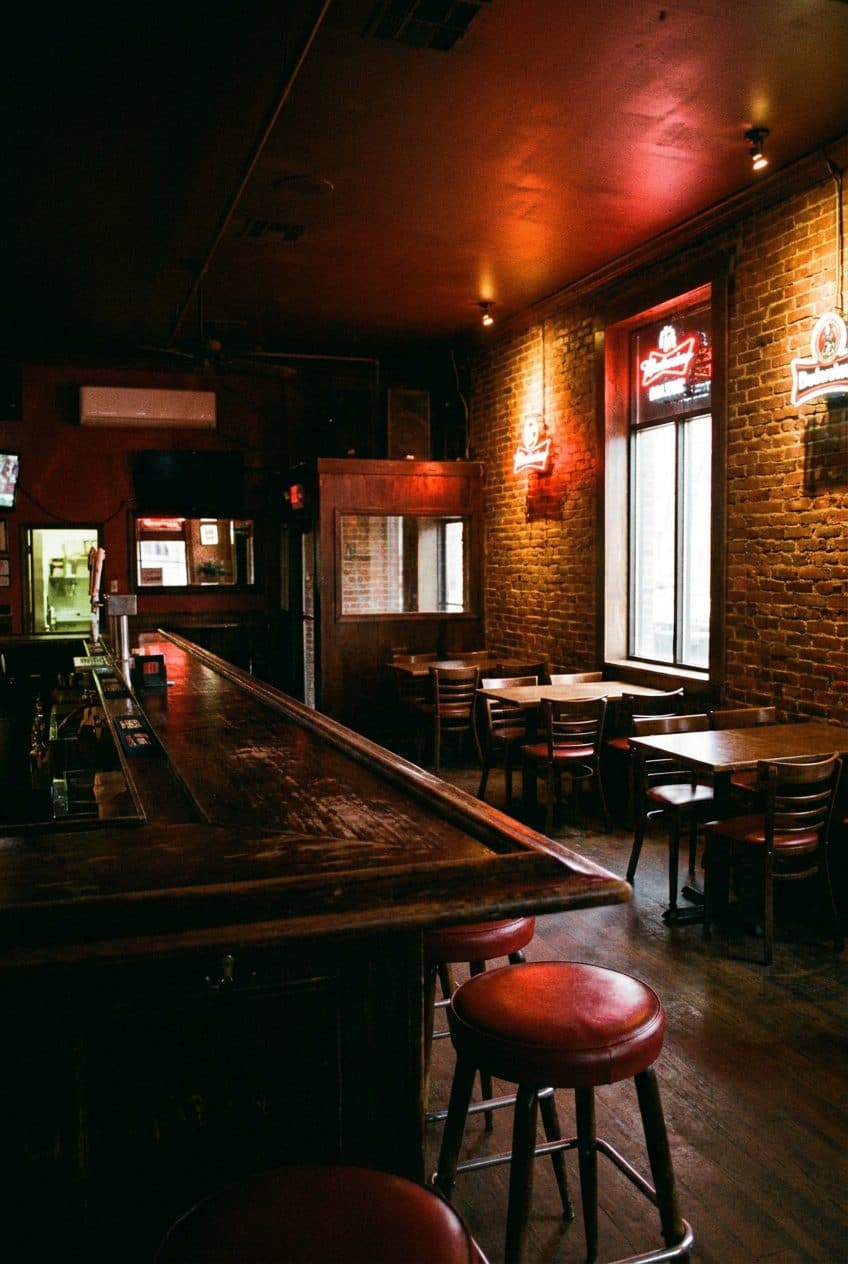 A Late Weeknight at a Polish Dive Bar in Greenpoint, Before the Walk Home - cover image