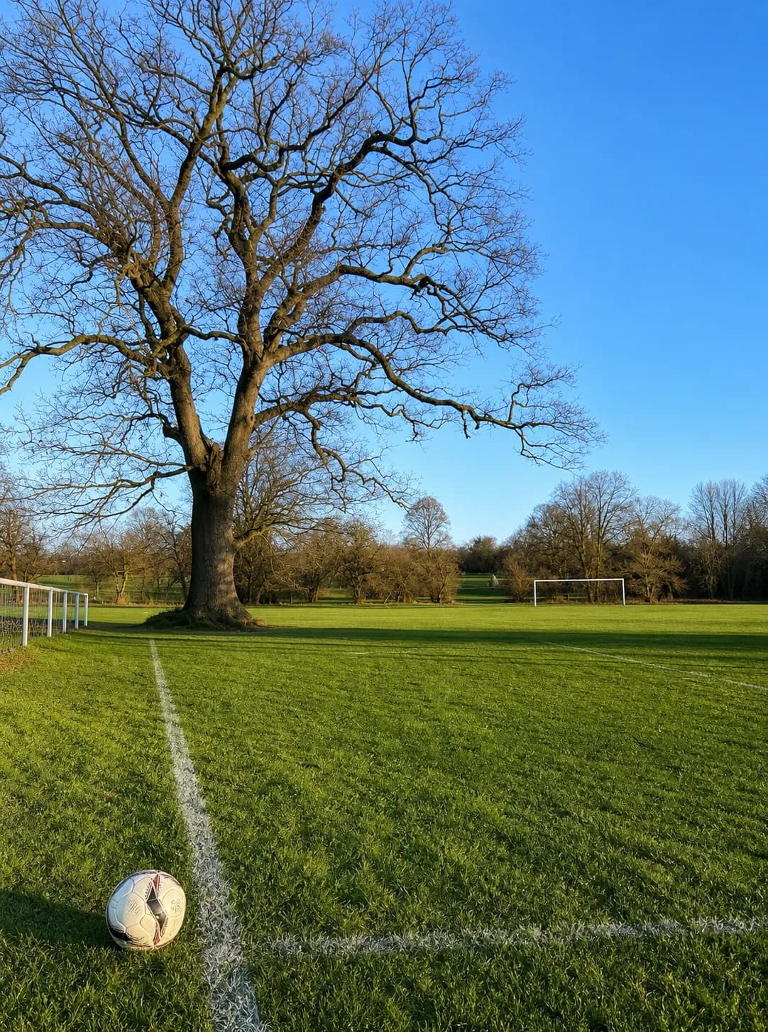 Bright realistic left touchline crossing image