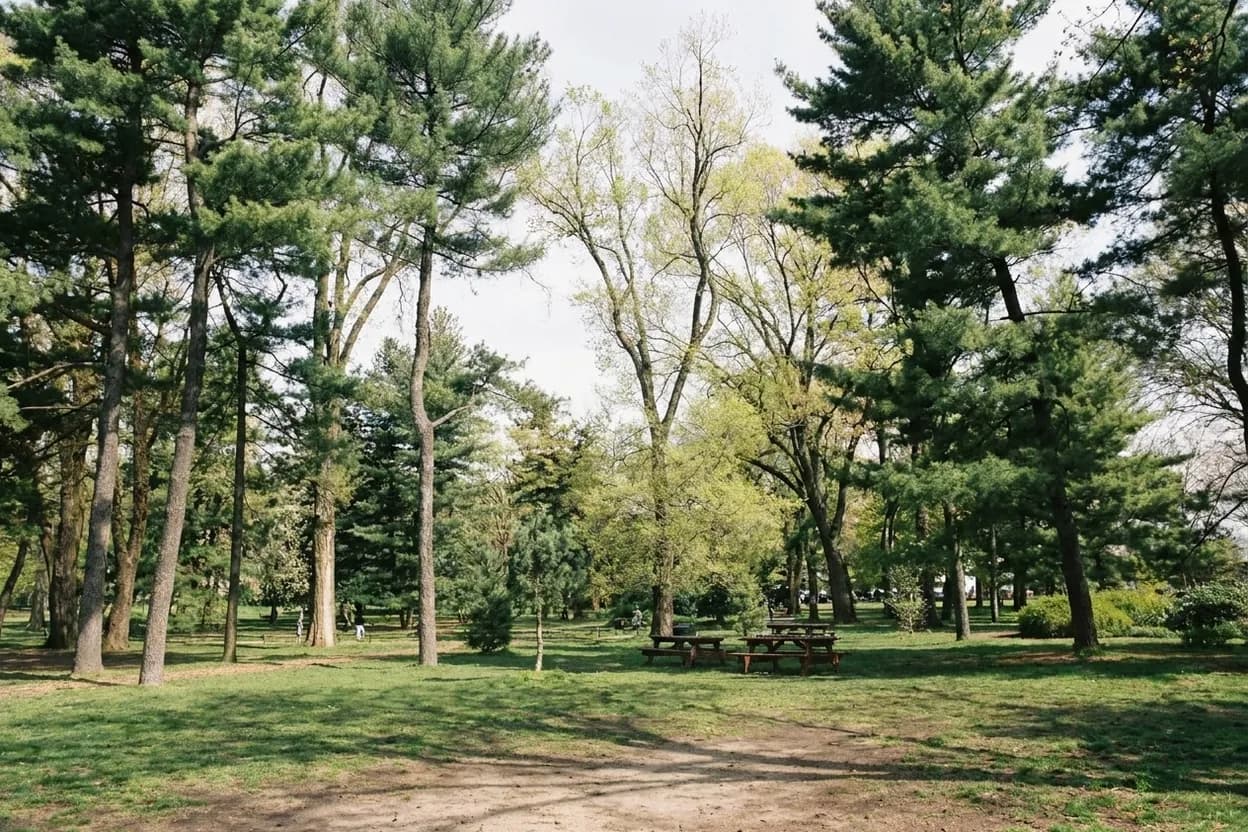 Realistic exterior view of Arthur Ross Pinetum in NYC