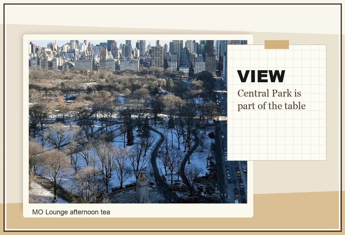 MO Lounge Central Park view