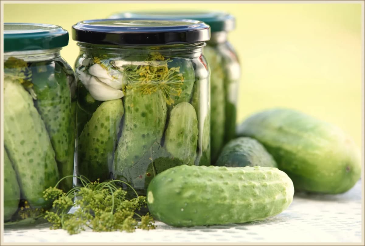 Murray's dill pickles glass jars