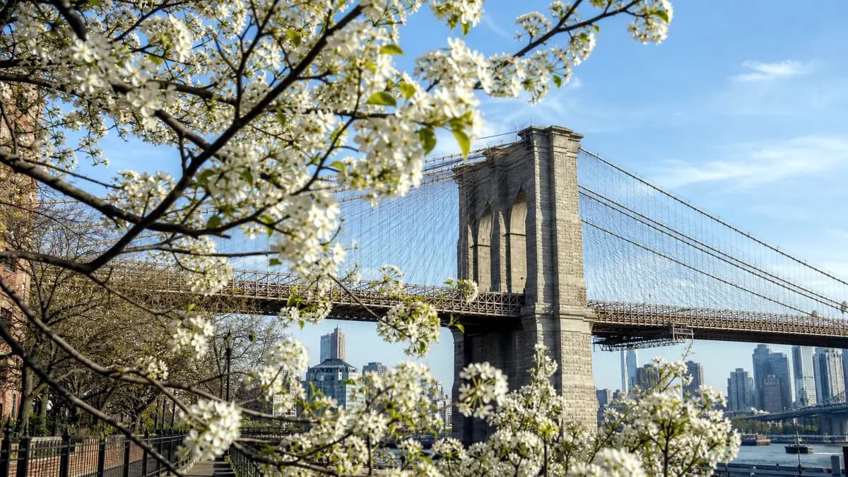 Brooklyn Bridge view