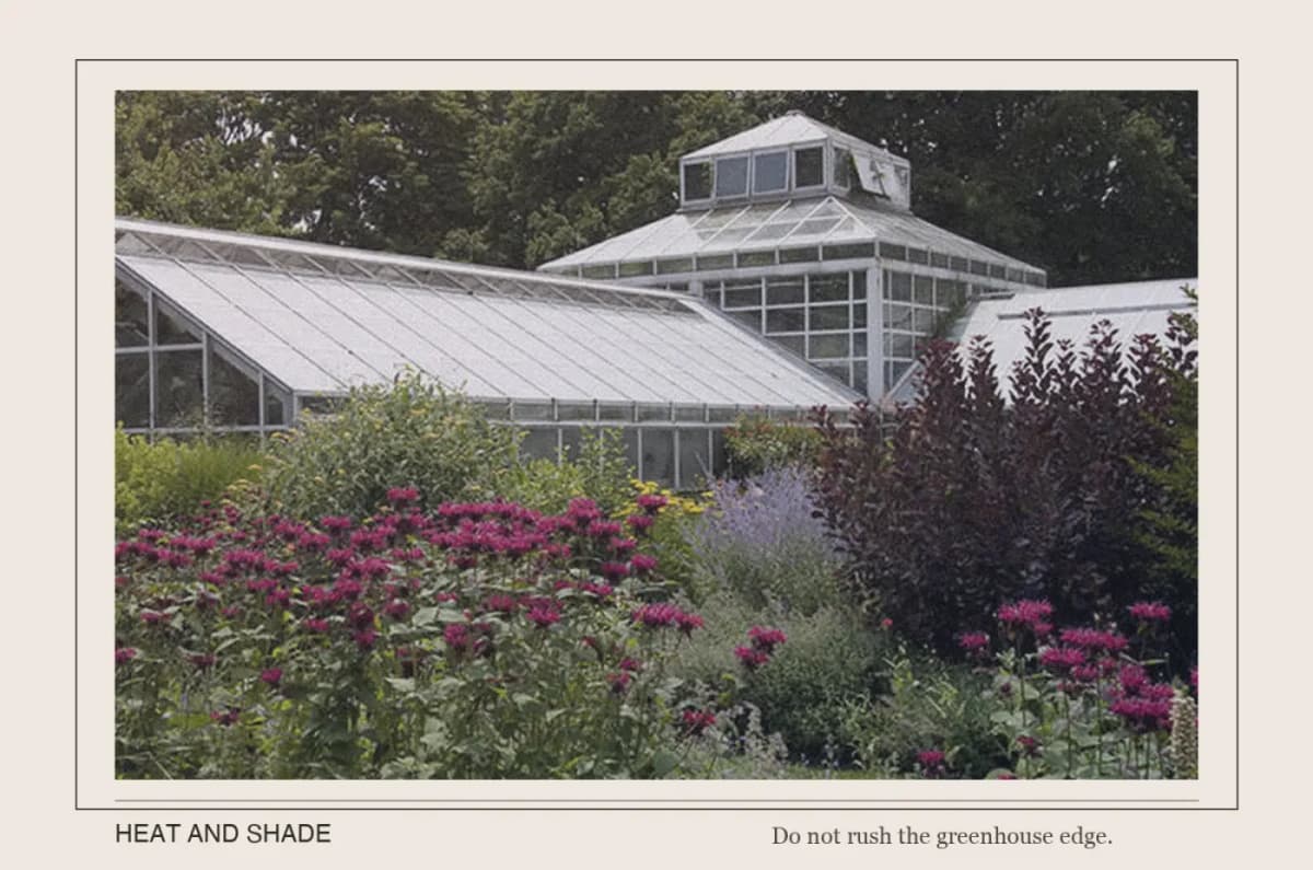 Snug Harbor glasshouse