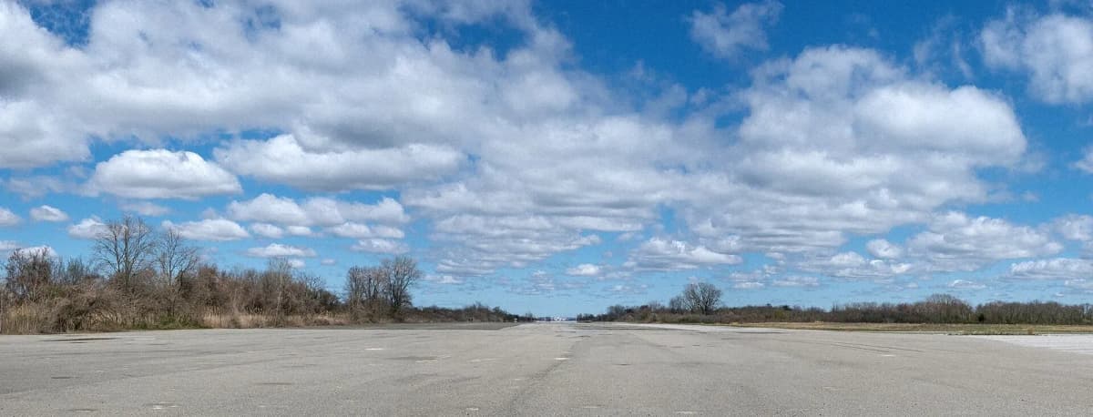 Floyd Bennett Field floyd bennett grassland