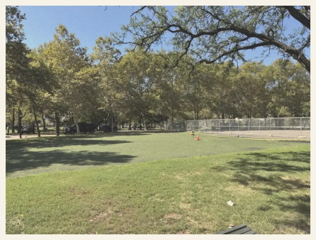 Queensbridge park lawn
