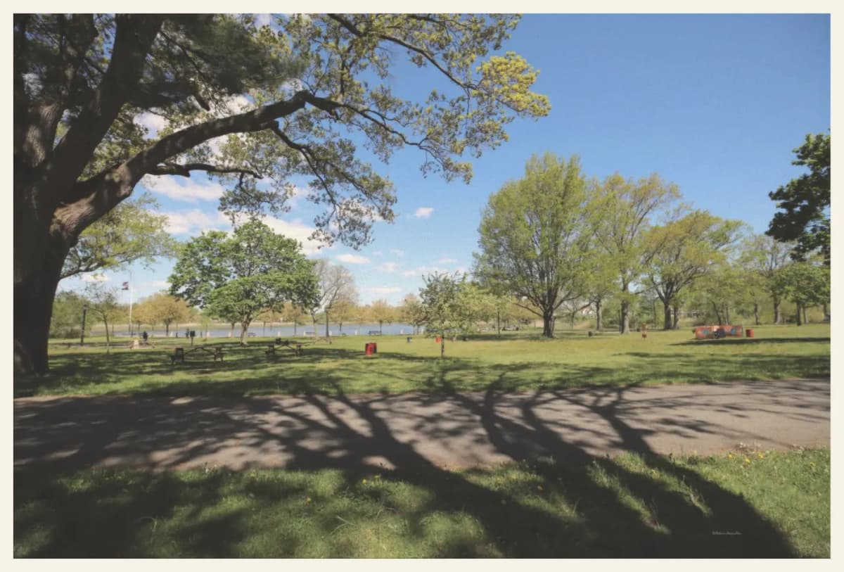 Queens baisley pond park green
