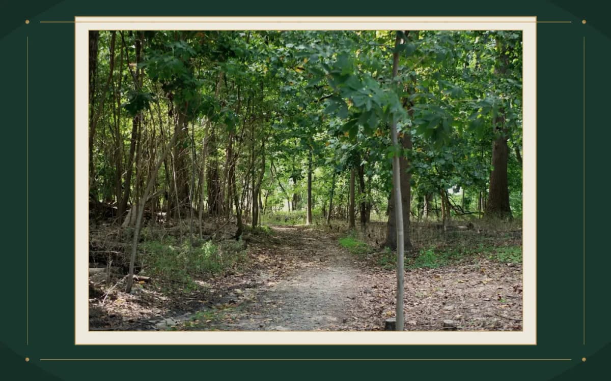 Pelham Bay Park inland trail