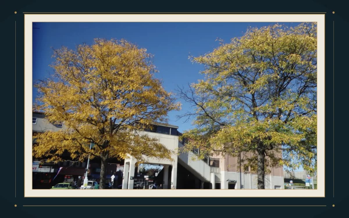 Pelham Bay Park exit and cooldown
