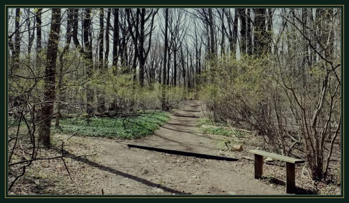 Staten Island latourette boardwalk