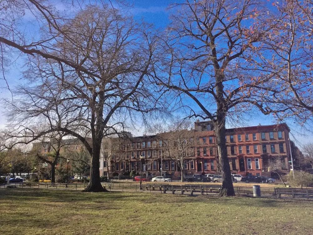 Herbert Von King Park perimeter