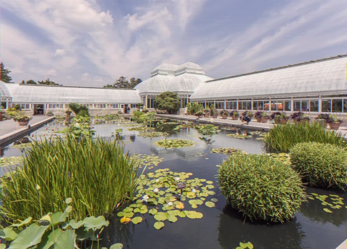 Bronx o nybg haupt conservatory pool