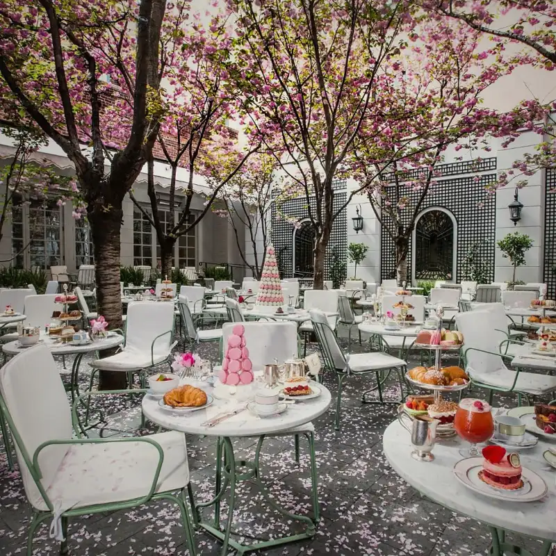 Ladurée SoHo garden