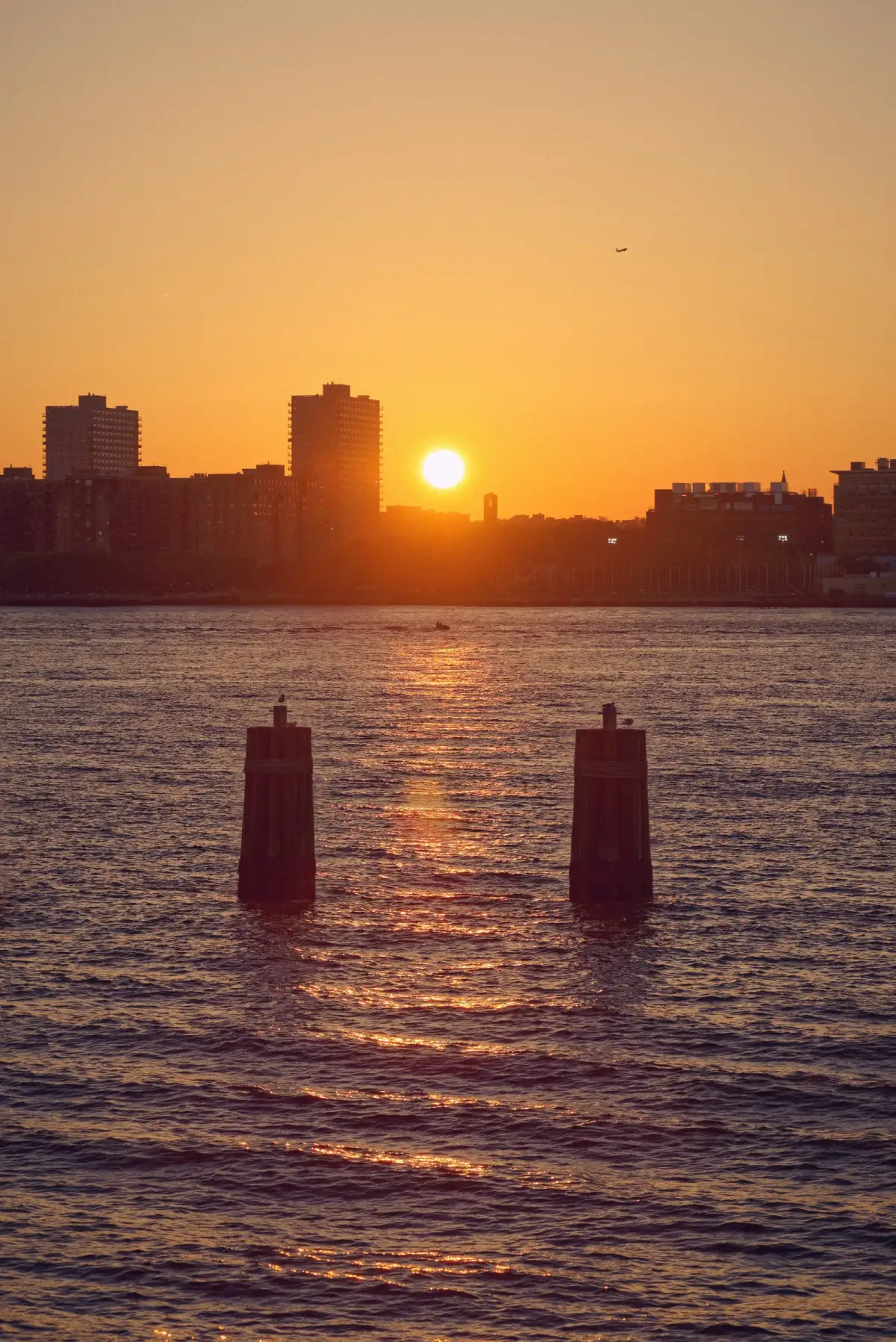 Hudson River Park little island hudson sunset