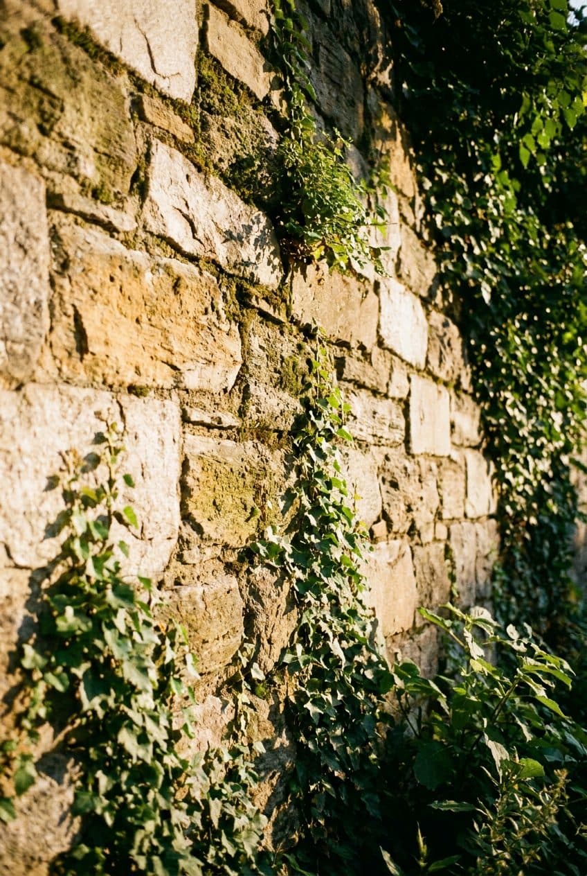 The Fort Tryon Park Heather Garden Where Medieval Ruins Frame an Unobstructed Hudson View - scene