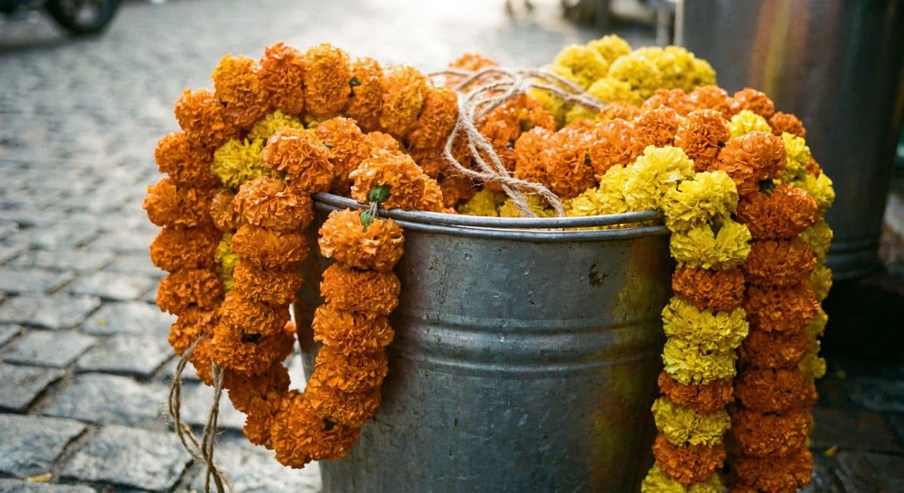 The Jackson Heights Sunday Walk Nobody Posts: Flower District to Bakery Row — interior detail