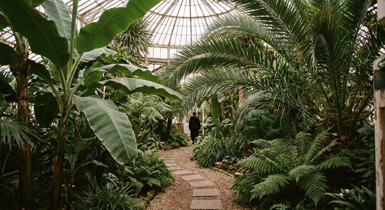 The NYBG Free Wednesday Nobody Tells Tourists About — atmosphere