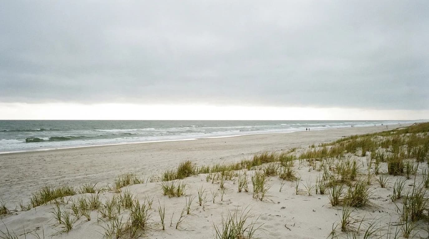 A wide Atlantic beach seen from a low grassy dune under a broad overcast sky