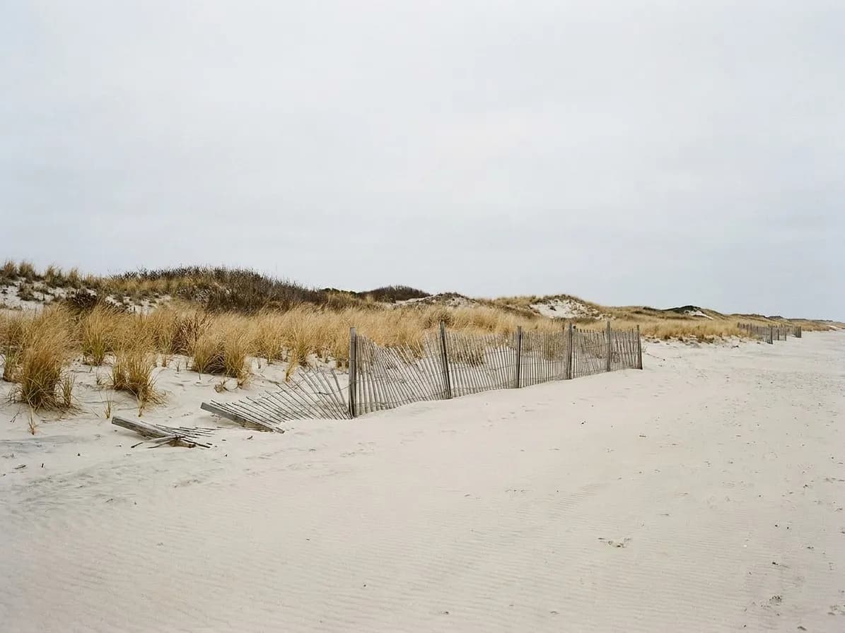 An empty stretch of sand with beach grass on low dunes under a wide overcast sky