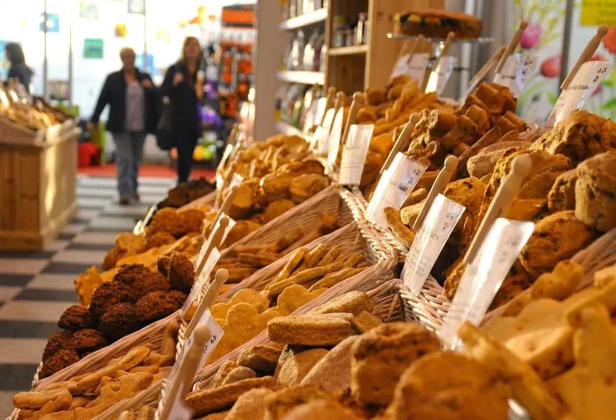 Shelves of natural dog food brands and supplements at an independent Berkeley pet store