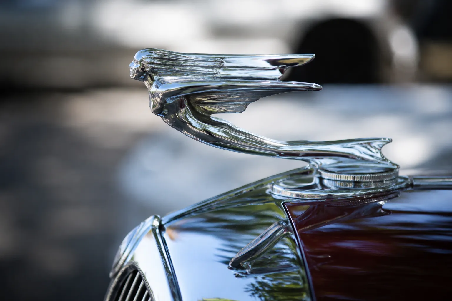 Close-up of polished chrome hood ornament and vintage car fender detail