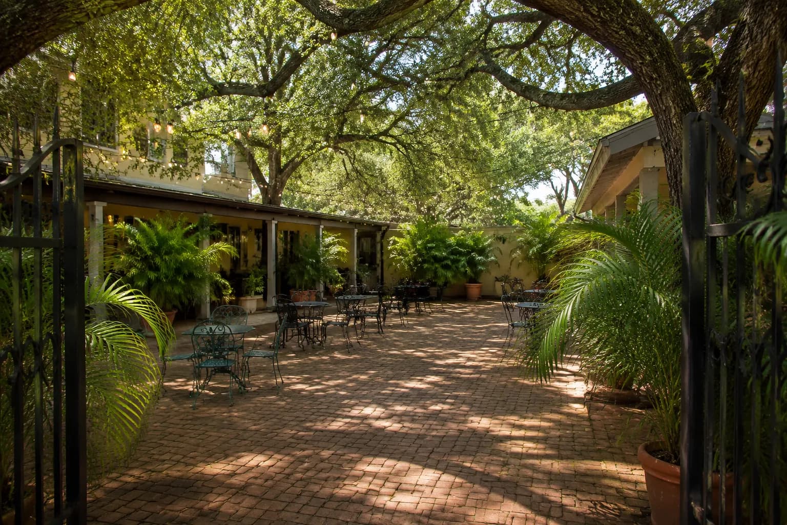 Empty outdoor courtyard with string lights and seating in Coconut Grove, Miami, under live oak trees