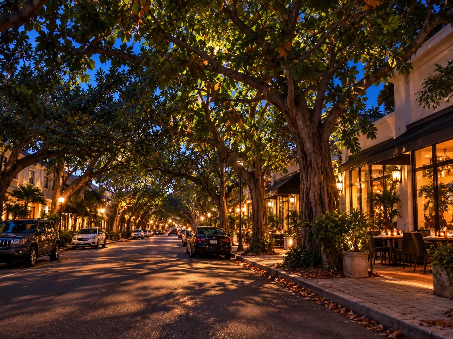 A tree-lined street of low buildings at dusk with warm lit windows and heavy tropical foliage