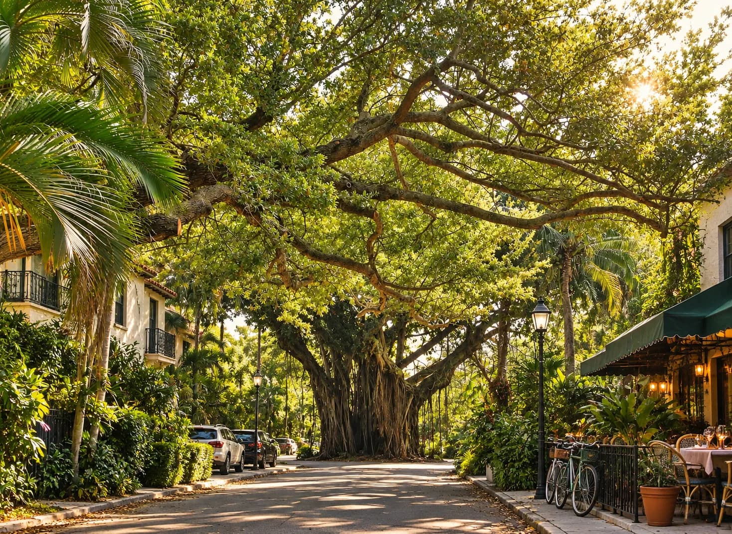 A leafy street of low buildings under large trees, warm evening light and a restaurant awning visible