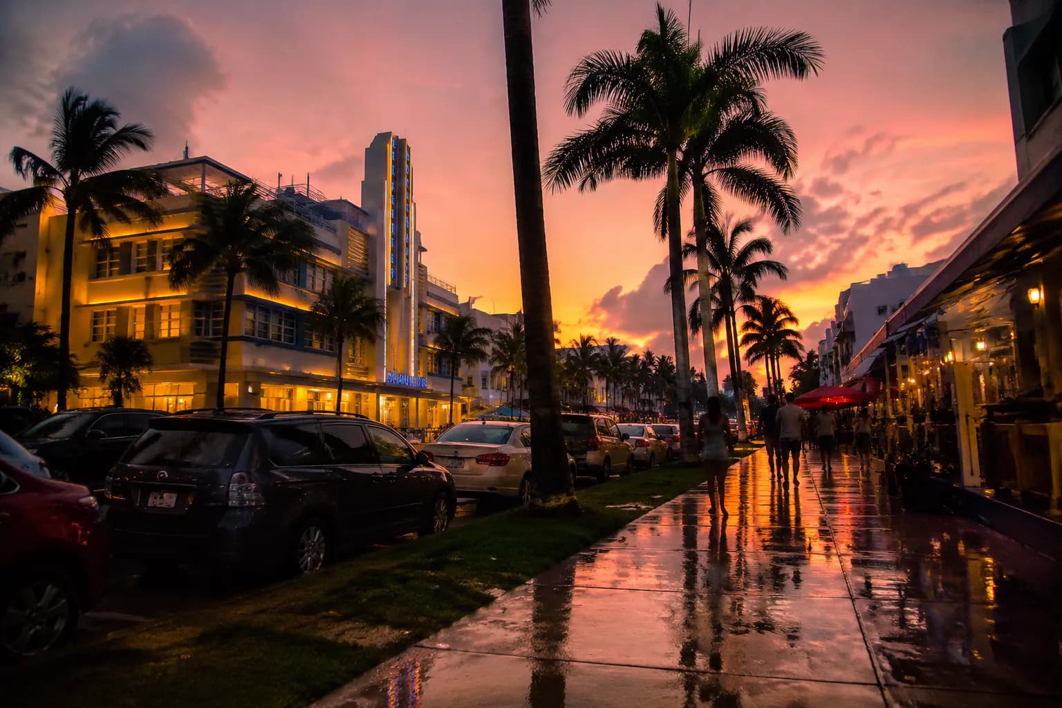 Coconut Grove street at dusk with palm trees and glowing storefronts after summer rain
