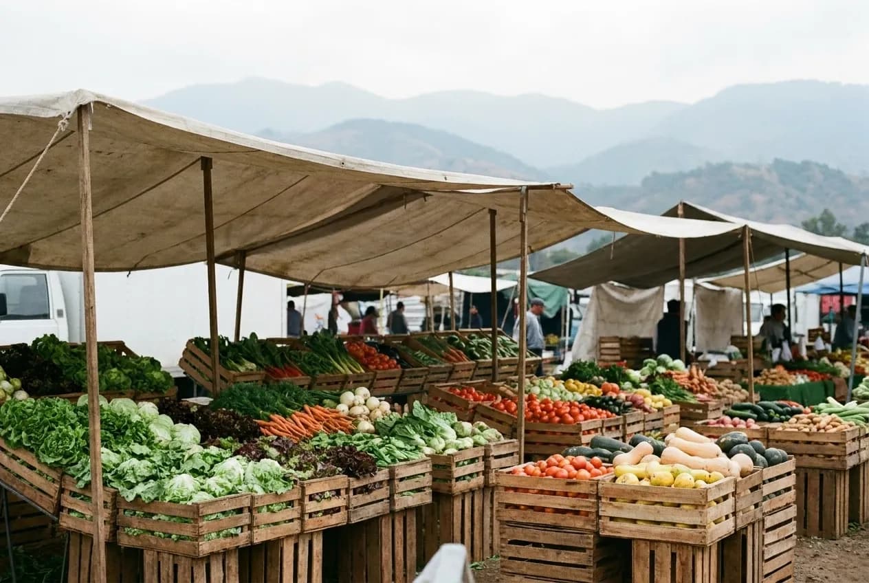 Rows of vegetables in crates under market canopies with hills beyond