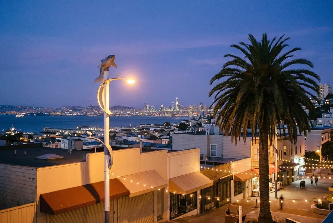 A hillside city view at dusk with lights coming on across the bay