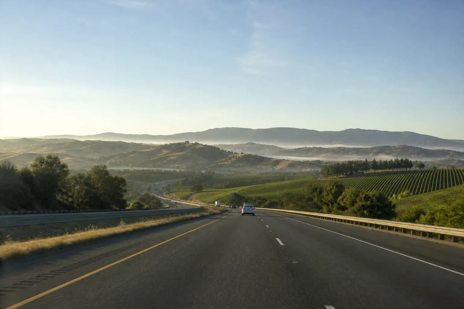 Vineyard road near Healdsburg in golden afternoon light