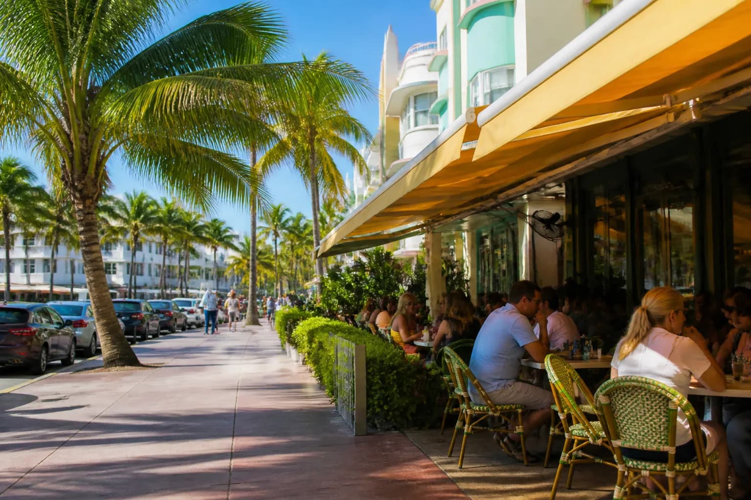 Realistic Miami food and neighborhood scene