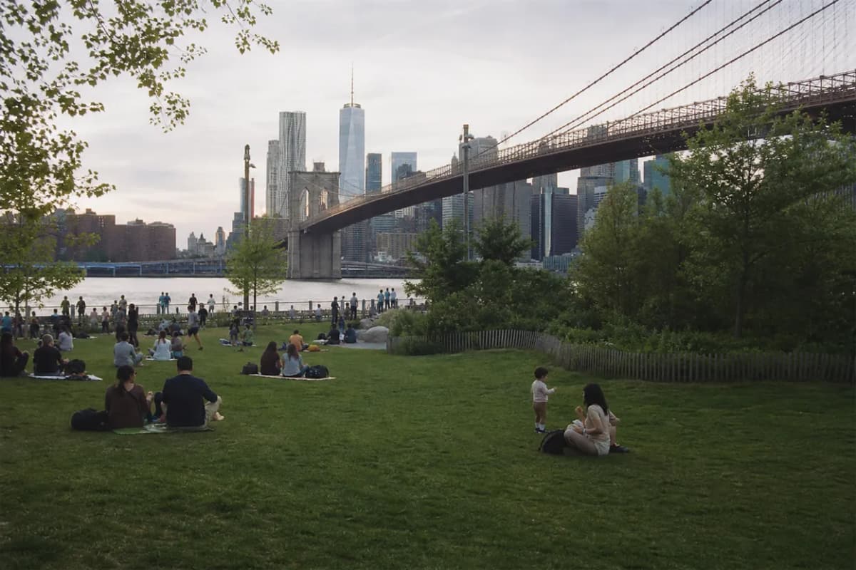 Cover scene for Brooklyn Bridge Park Pier 3 Lawns: A Shaded Picnic Plan After Work