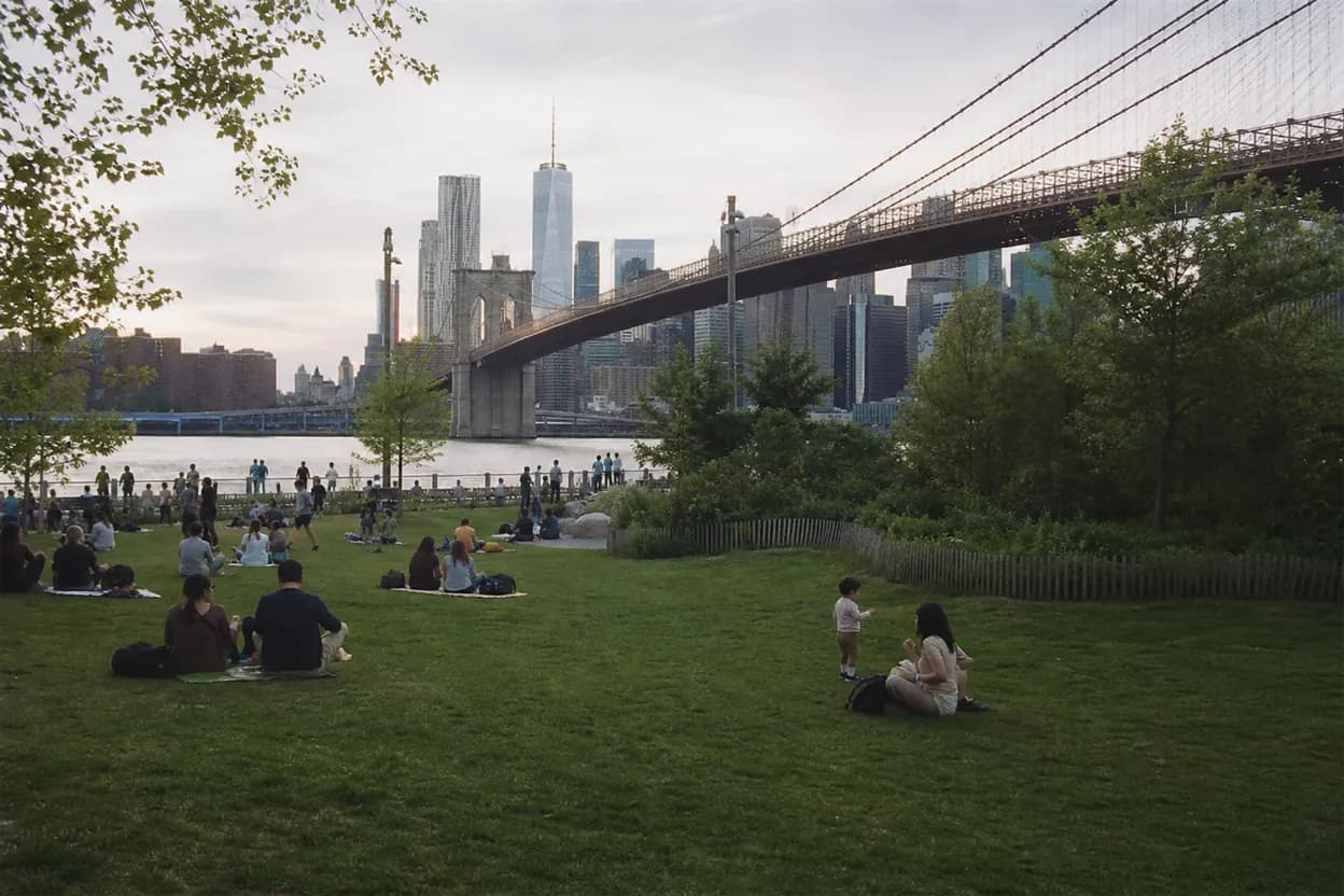 Cover scene for Brooklyn Bridge Park Pier 3 Lawns: A Shaded Picnic Plan After Work